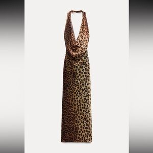 Zara Leopard Print Backless Dress